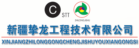 新疆挚龙工程技术有限公司